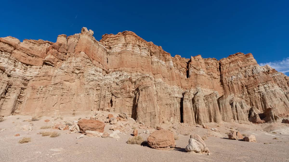 Learn about how desert plants and animals survive in harsh conditions during docent-led nature walks at Red Rock Canyon State Park.