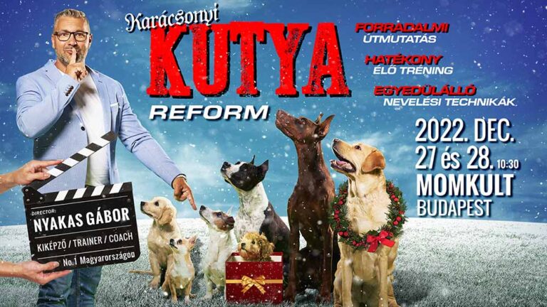 Karácsonyi kutyareform