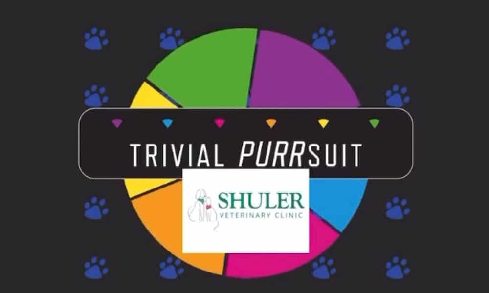A colorful pie chart with six segments and a title "trivial purrsuit" over it, surrounded by blue paw prints. Below is the logo of Shuler Veterinary Clinic.