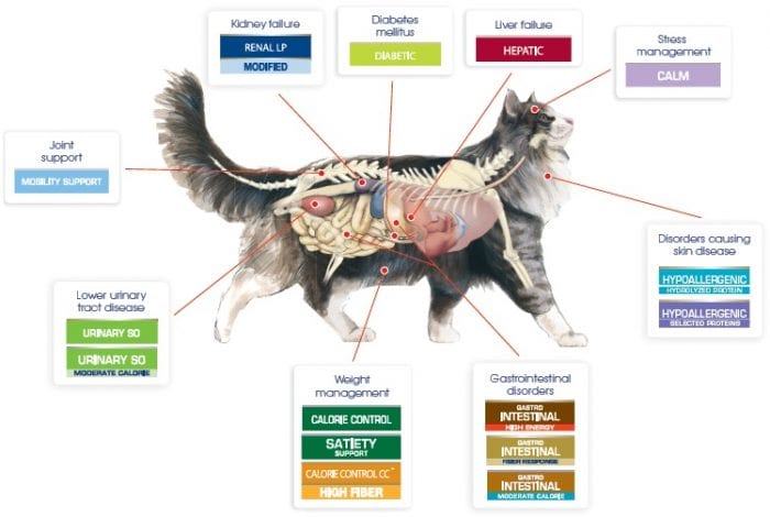 veterinarian approved feline nutrition
