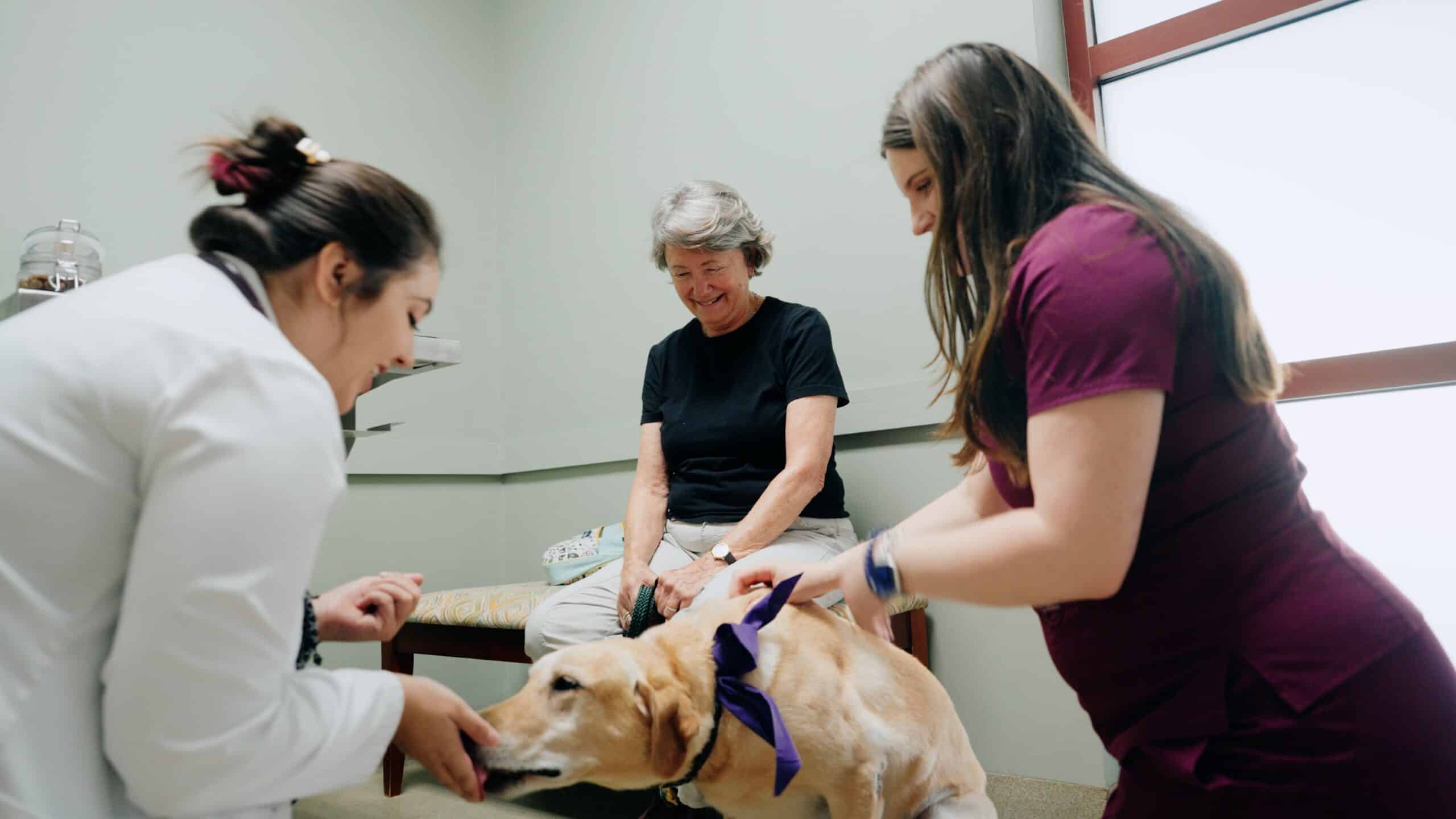 physical exams in mount pleasant sc