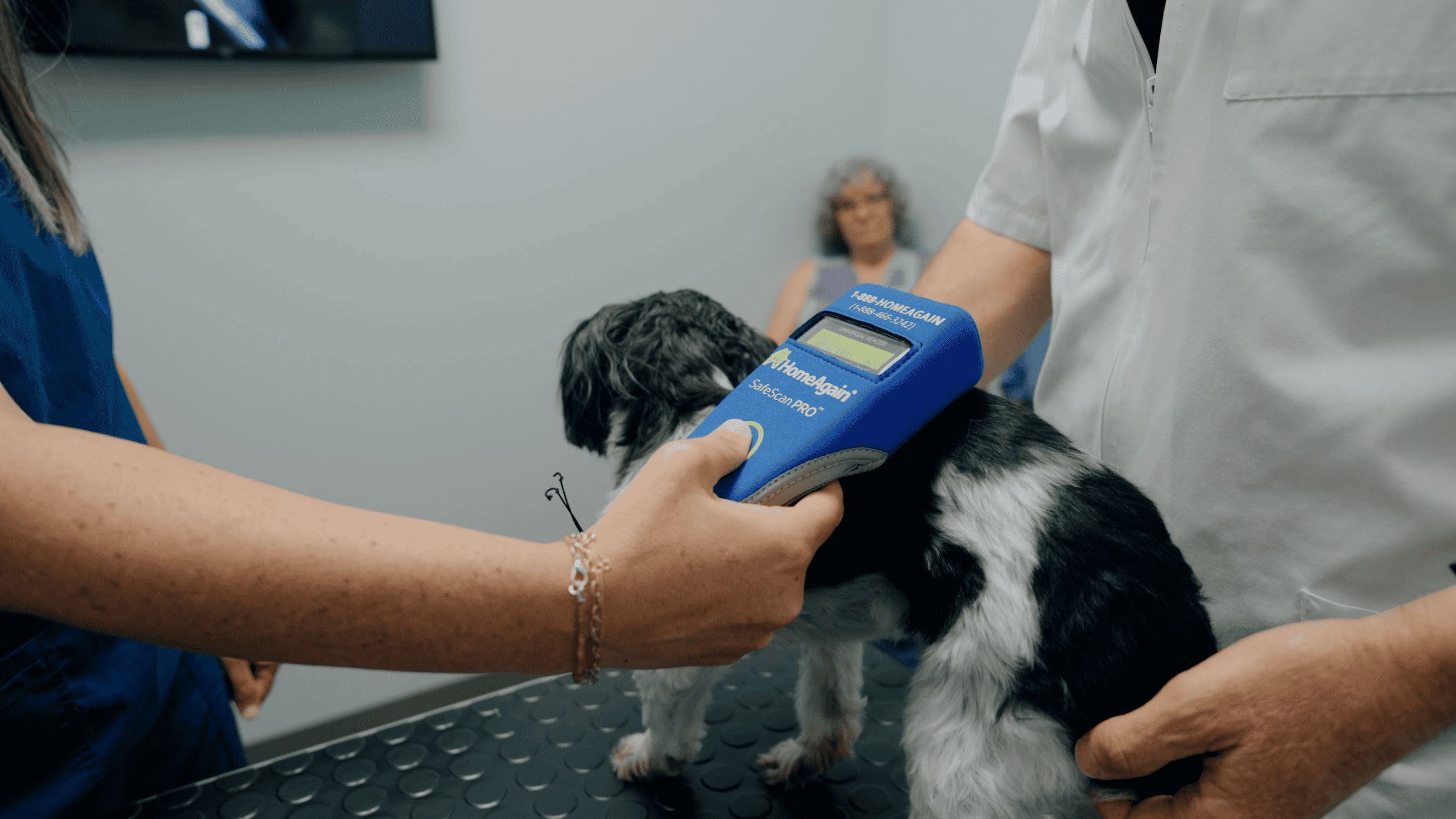 Dog Microchipping Benefits