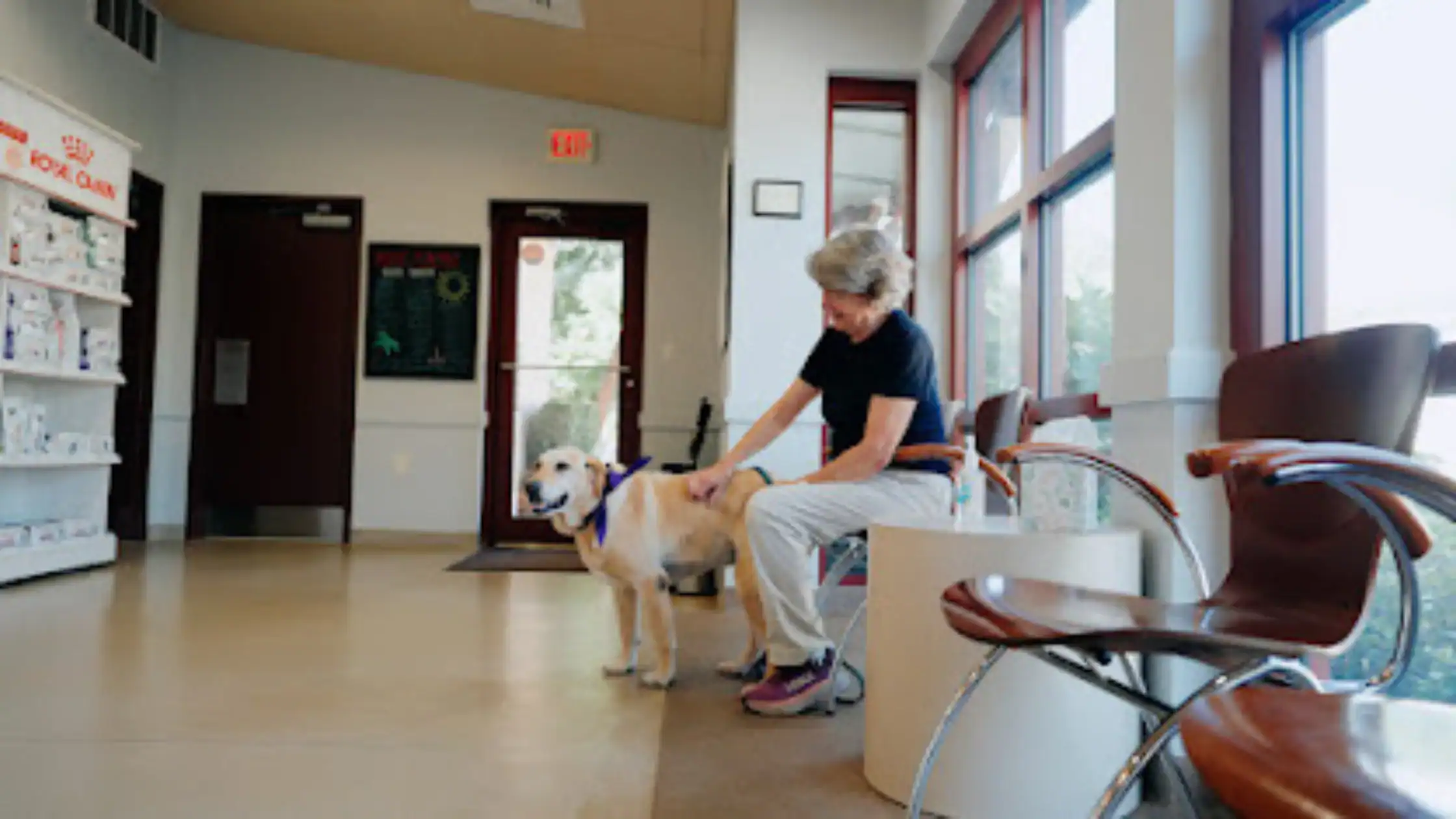 Pet insurance