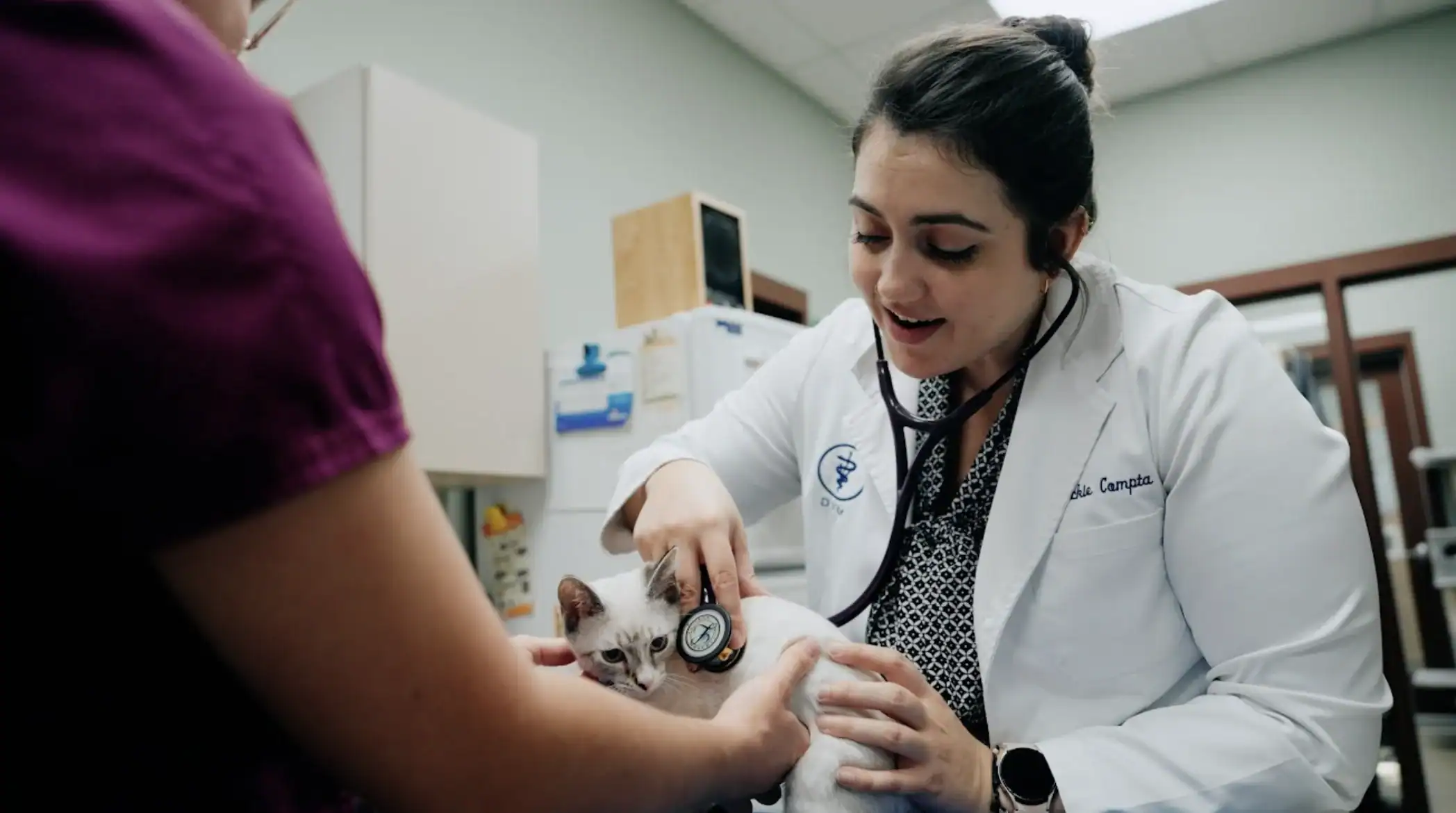 Veterinary Team