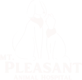 Mount Pleasant Animal Hospital 1