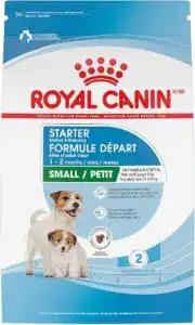 Royal Canin Starter Mother & Babydog small breed puppy food bag showing two small puppies — a vet-recommended option for early puppy nutrition and healthy development