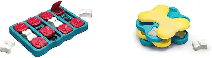 Interactive puzzle toys used as brain games for dogs to improve problem-solving and mental stimulation