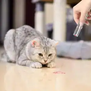 Rechargeable laser pointer pet toy with light patterns for cats and dogs – interactive training and play tool