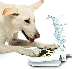 CLICK HERE. Dog Outdoor Fountain Step On, Dog Sprinkler Paw Activated, Drinking Pet Dispenser, Provides Fresh Water, Sturdy, Easy to Use