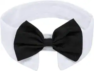 CLICK HERE. ZTON Handcrafted Adjustable Formal Pet Bowtie Collar Neck Tie for Dogs & Cats