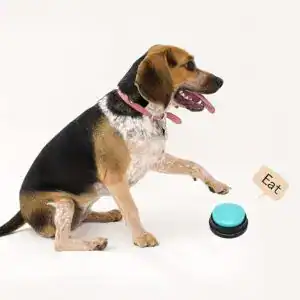 CLICK HERE. AMAZON'S CHOICE. Voice Recording Button, Dog Buttons for Communication Pet Training Buzzer, 30 Second Record & Playback, Funny Gift for Study Office Home, 6 Packs