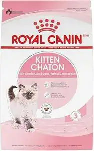 Royal Canin Kitten Dry Food bag, one of the best kitten food options for growth, digestion, and immune support