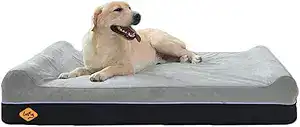 Large yellow Labrador resting on a memory-foam dog beds for senior dogs and large dogs — one of the best washable orthopedic dog beds recommended by vets.