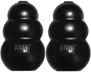 Indestructible dog chew toys – black KONG for tough chewers.