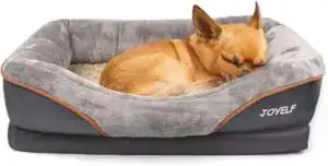 Small brown Chihuahua sleeping on a gray JOYELF orthopedic dog bed with memory foam base and bolstered sides. Ideal for joint support, comfort, and cozy rest for small breeds.