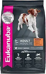 Medium breed adult dog food by Eukanuba, one of the top vet recommended dog food options for 2025. A healthy dog food for dogs supporting energy, body, and mind—featured in our vet approved dog food and dog nutrition guide.
