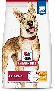 Hill’s Science Diet Adult Dog Food — a top vet recommended dog food 2025 choice supporting digestion, immune health, and strong muscles. This healthy, vet approved dog food provides balanced nutrition for adult dogs ages 1–6.