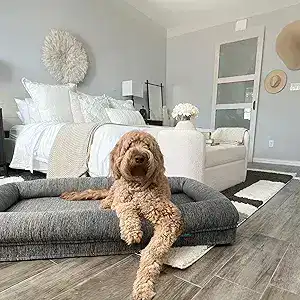 Labradoodle lounging on a modern gray orthopedic dog bed in a bright bedroom — one of the best memory-foam orthopedic dog beds for large dogs, featuring a washable cover.