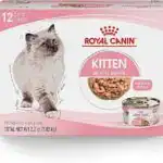 Royal Canin wet kitten food 12-can pack, designed for kittens up to 12 months—highly recommended in kitten must haves for balanced nutrition and healthy growth.