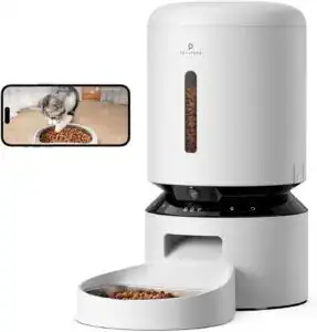 Automatic self-cleaning litter box setup with cat – must-have cat products that simplifies cleanup and reduces odor for new owners.