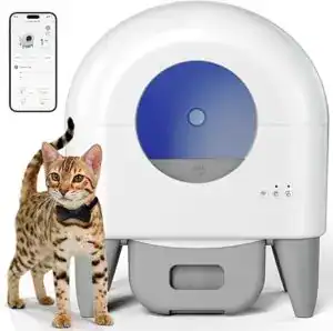 Bengal cat wearing a bow tie beside the top-rated self-cleaning litter box, Fumoi Automatic Litter Box, featuring a modern dome design and smart odor-control system.