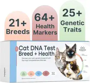 Cat DNA test kit showing breed, health, and genetic trait results — featured as one of the best cat supplies for understanding your cat’s health