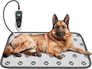 Large German Shepherd dog lying on a heated pet pad with digital temperature control — a cozy comfort option in fall essentials for dogs 2025.