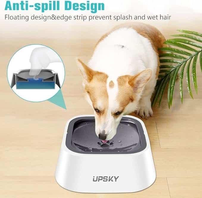Corgi drinking from the UPSKY anti-spill water bowl with floating design — a genius Amazon pet find that prevents splashes and wet fur. This unique pet gadget keeps floors clean and pets hydrated, making it one of the most practical dog and cat finds and thoughtful Amazon pet gifts 2025.