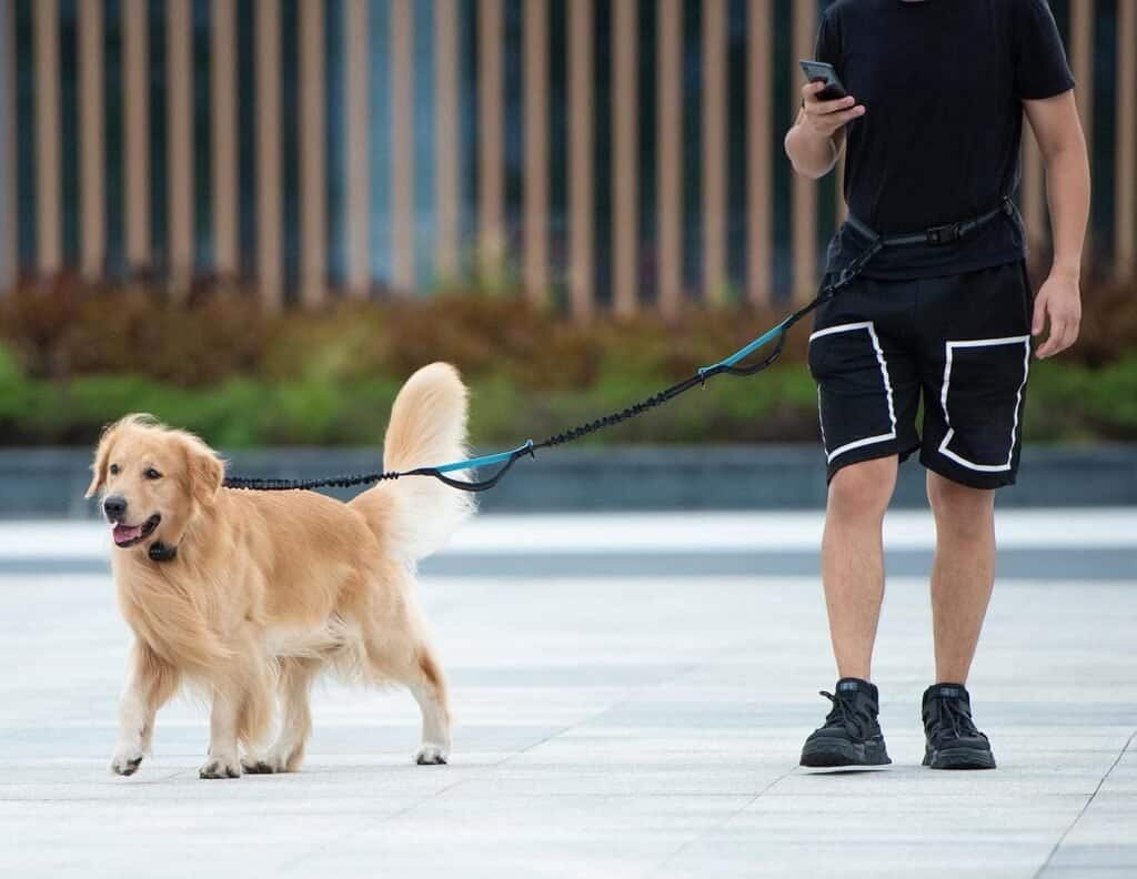 DogLeashHandsFree