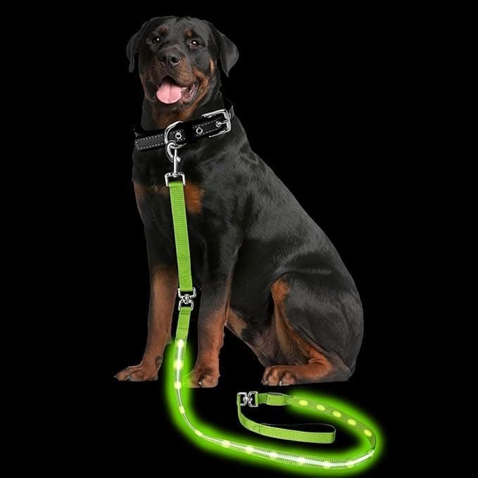 LED dog leash glowing bright green at night — one of the most practical and eye-catching Amazon pet finds of 2025. This unique pet gadget improves safety during evening walks while adding style, making it a standout among fun pet toys, dog and cat finds, and useful Amazon pet gifts 2025.