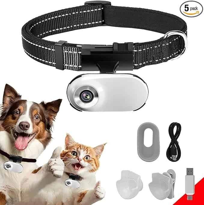 Rechargeable pet collar camera with adjustable strap – HD video wearable for dogs and cats.