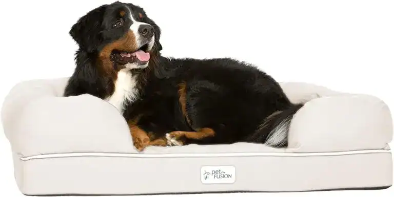 Large Bernese Mountain Dog lounging comfortably on a cream-colored orthopedic bed with raised sides — one of the best bolster dog beds for joint support and relaxation.