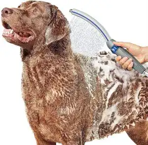Dog being bathed with a portable dog showers – perfect outdoor pet bathing system and camping dog washer for easy at-home grooming.