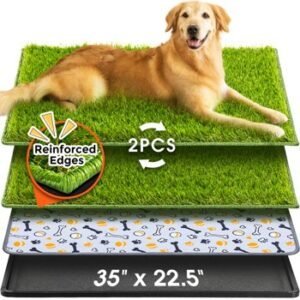 Indoor dog grass pad with tray shown in layered design — a helpful tool for a puppy potty training schedule and consistent at-home potty routines