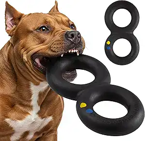 Strong dog chewing a durable Goughnut toy — heavy-duty chew toy for aggressive chewers