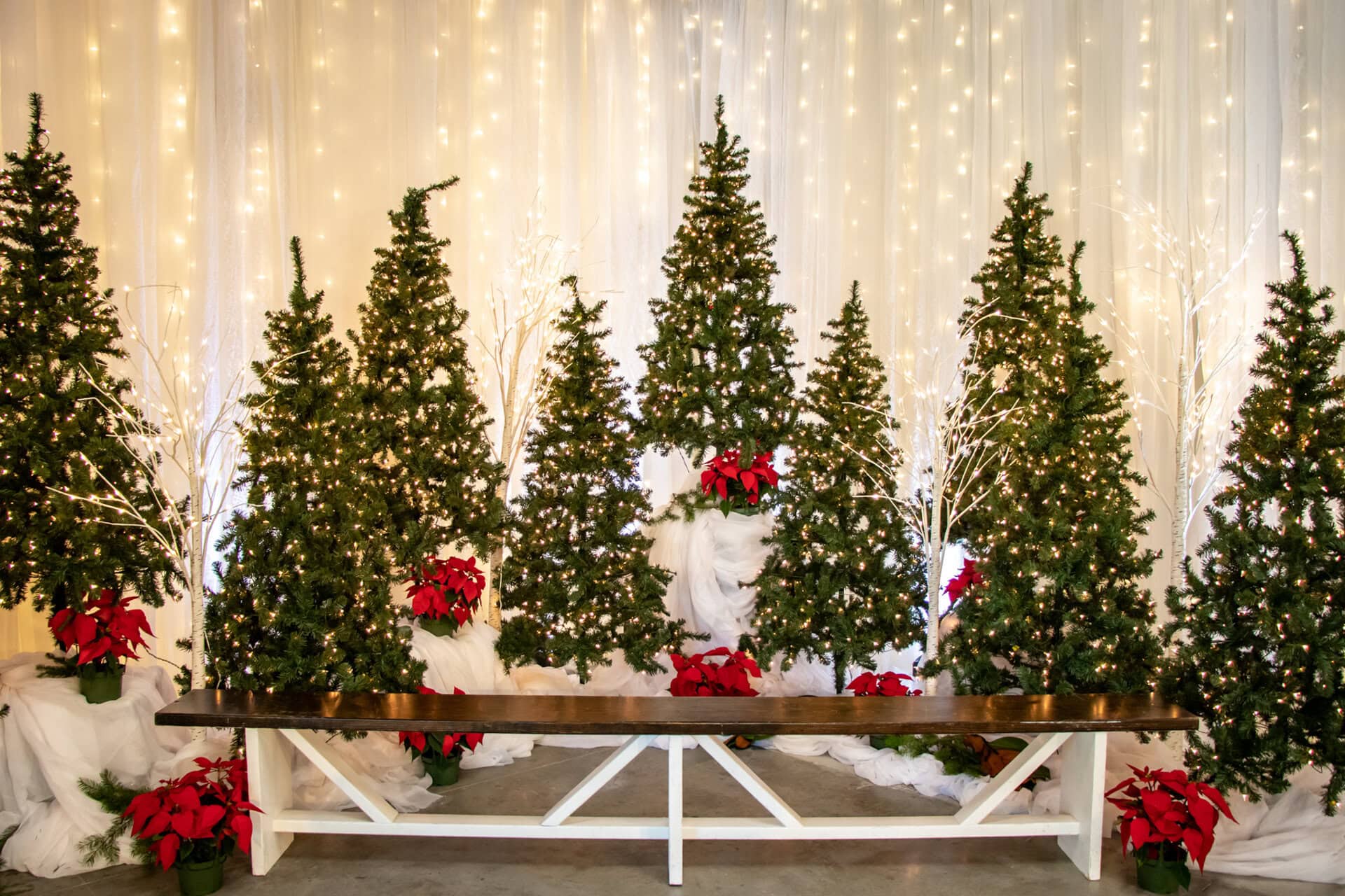 Corporate-Holiday-Party-Decor