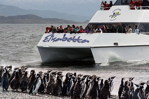Catamaran sailing the Beagle Channel with a view of Ushuaia and the snowy Cordillera