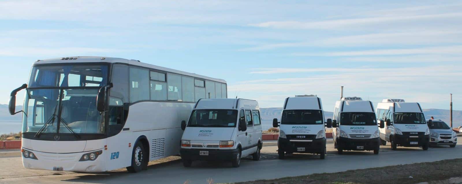 Traslado excursión Perito Moreno buses