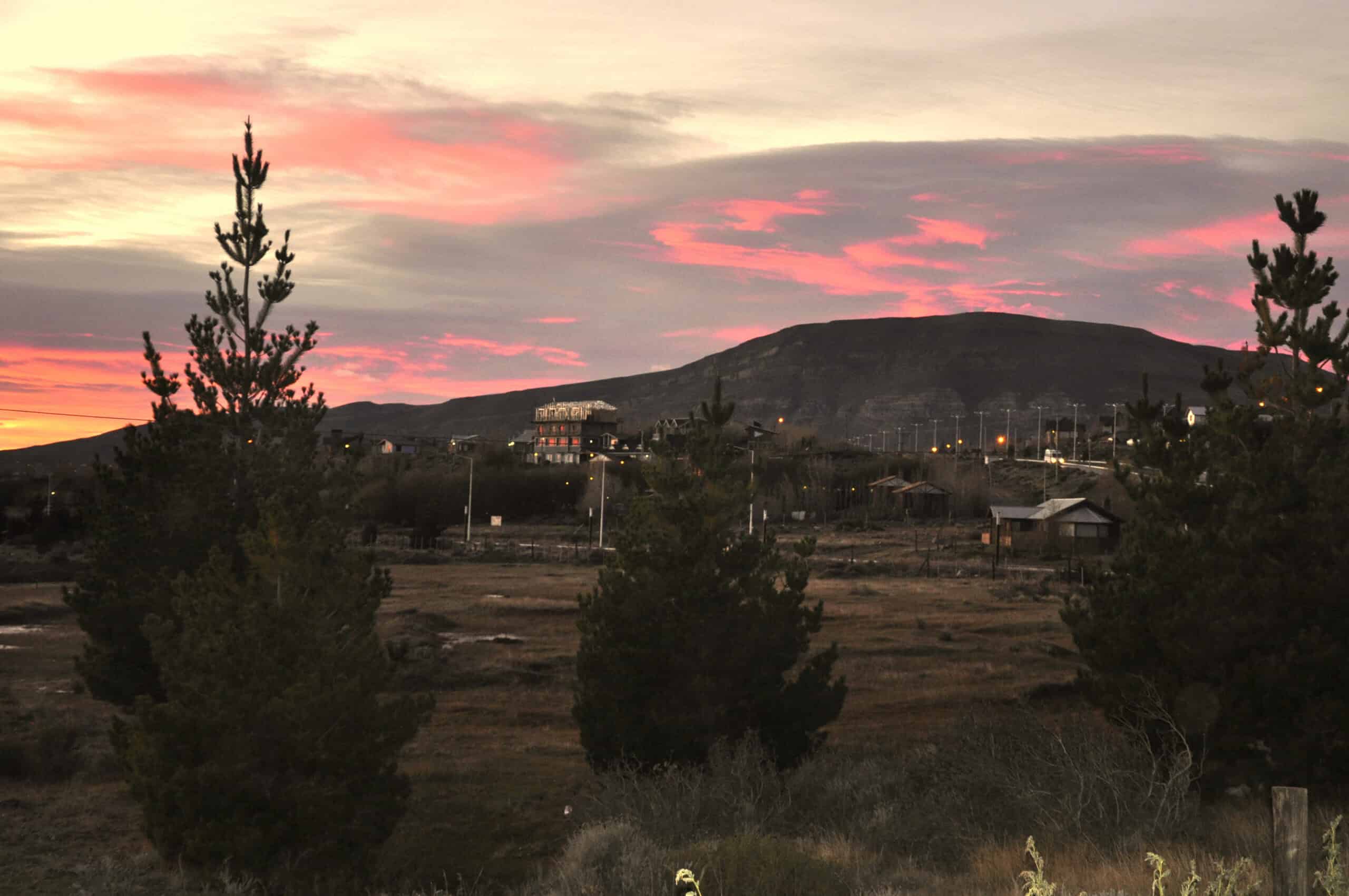Forests in fall colors in El Calafate, Patagonia