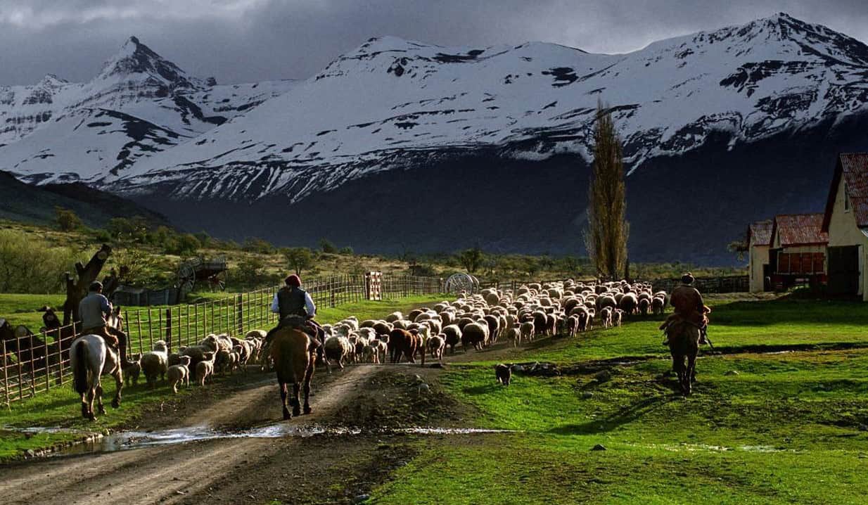 Pastoreio de ovelhas pelo caminho da Estancia Nibepo Aike com montanhas nevadas