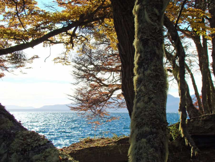 Lago Fagnano entre bosque de lengas, Tierra del Fuego