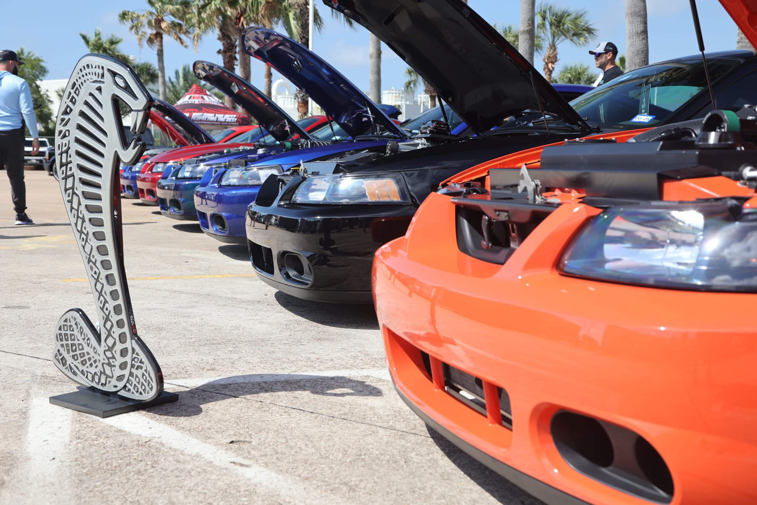 Lineup of colorful Mustangs at Mustang Week car show in Texas 2025.