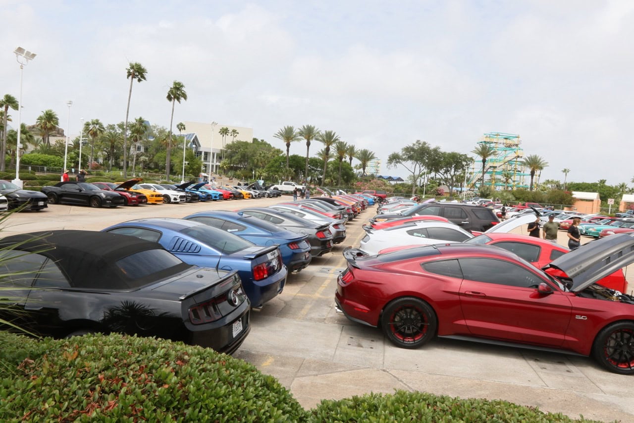 Classic and modern Ford Mustangs at Mustang Week event in Texas 2026.