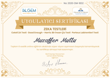 DİLGEM ZEKA TESTLERİ-1