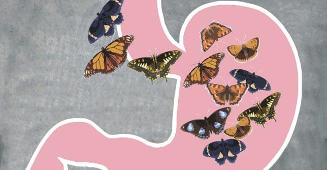 Butterflies vs Anxiety: Macclesfield Gym Personal Trainer Insights