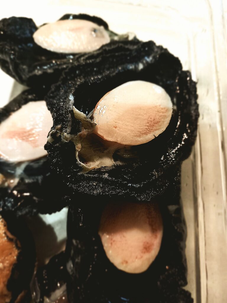5 Freshly chucked paua