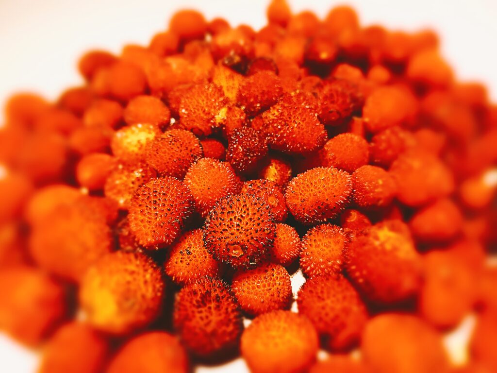 A big pile of strawberry tree fruit on a white kitchen bench.