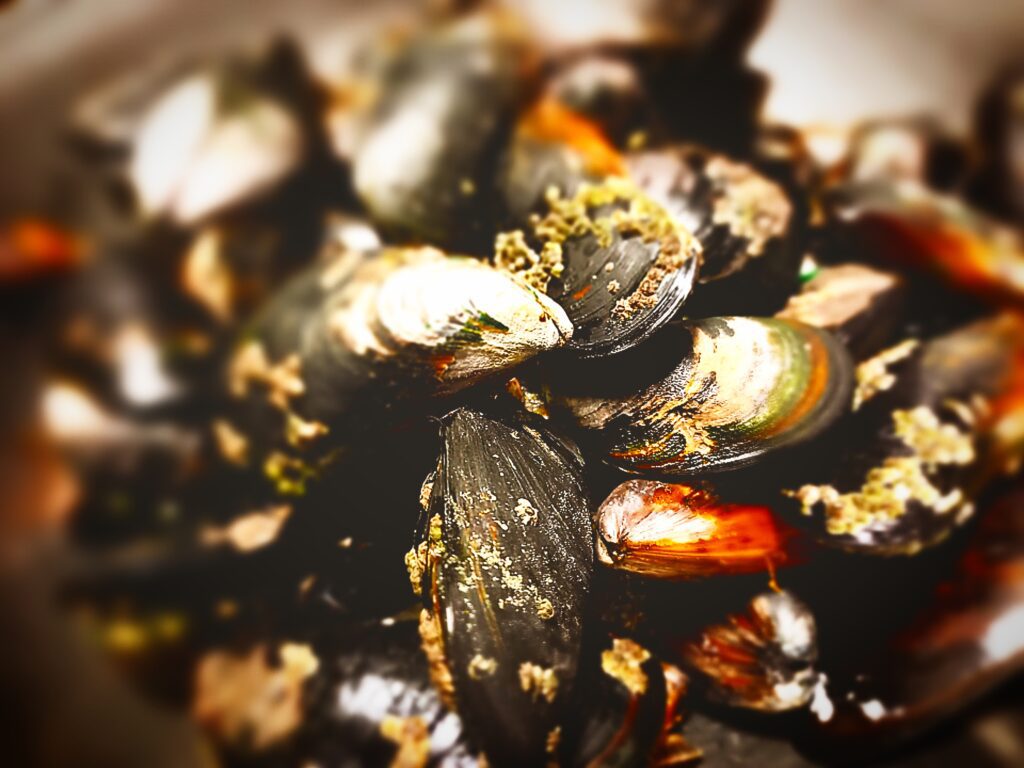 Fresh wild mussels in a bowl