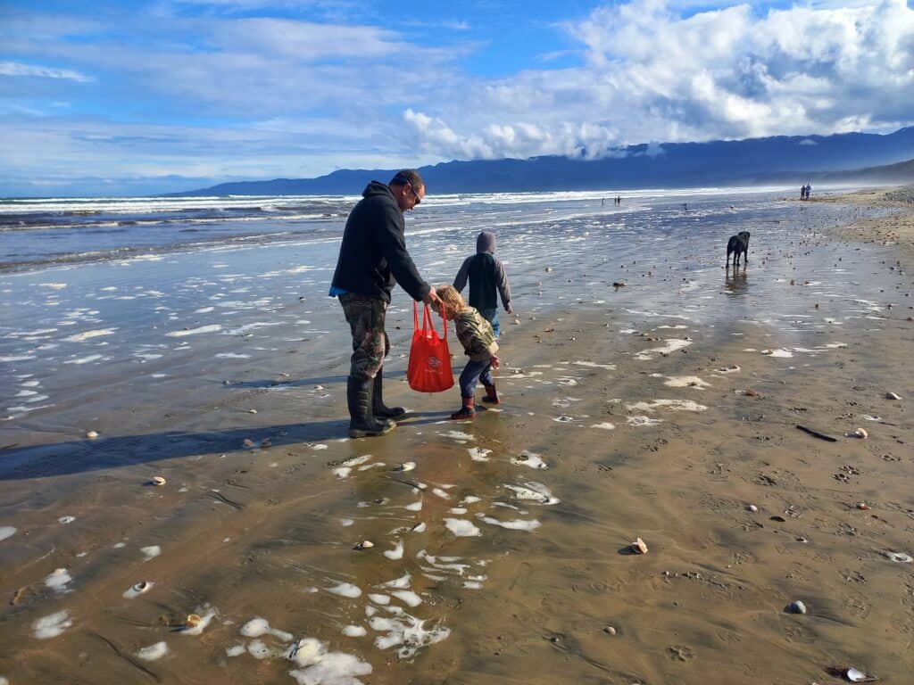 picking shellfish from the beach
