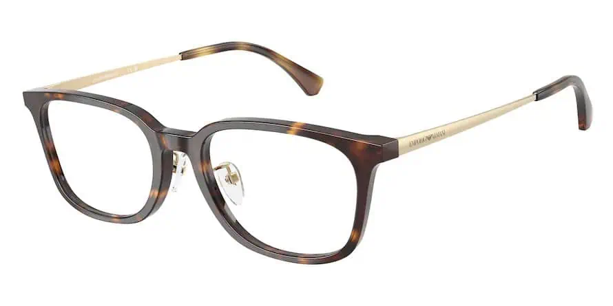 Stylish tortoiseshell eyeglasses for vision correction and fashion.
